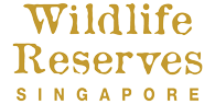 wildlife.png